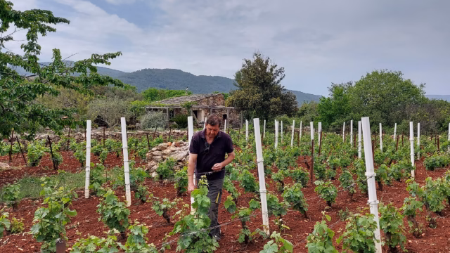 farmer, organic food, brac