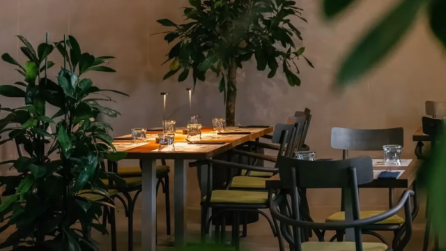 Organic tea house Zagreb